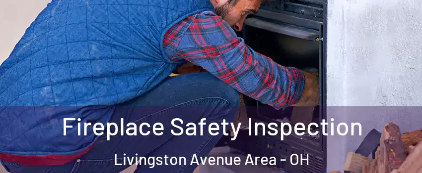 Fireplace Safety Inspection Livingston Avenue Area - OH