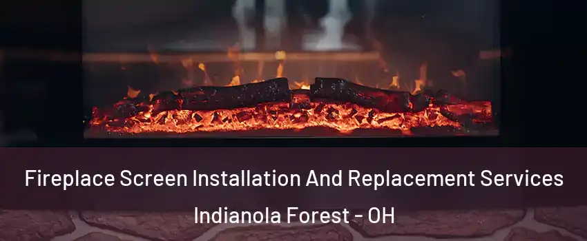 Fireplace Screen Installation And Replacement Services Indianola Forest - OH