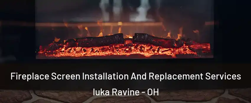 Fireplace Screen Installation And Replacement Services Iuka Ravine - OH