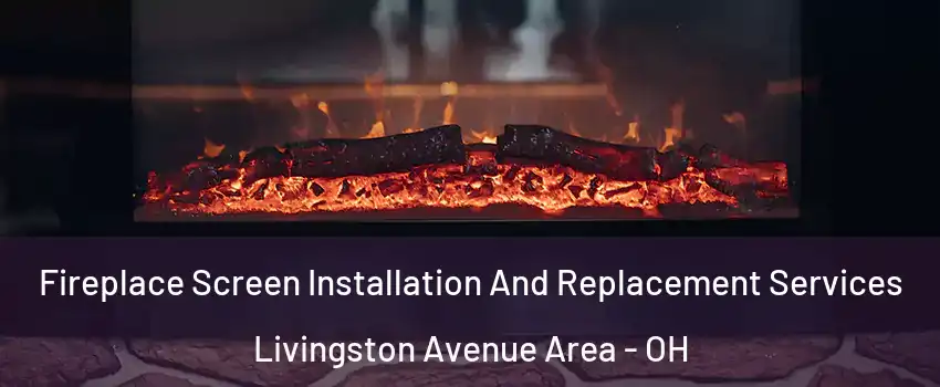 Fireplace Screen Installation And Replacement Services Livingston Avenue Area - OH