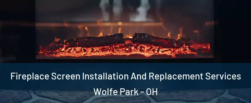 Fireplace Screen Installation And Replacement Services Wolfe Park - OH