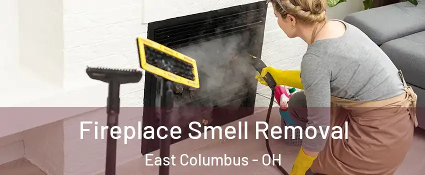 Fireplace Smell Removal East Columbus - OH