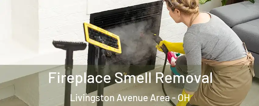Fireplace Smell Removal Livingston Avenue Area - OH