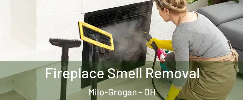 Fireplace Smell Removal Milo-Grogan - OH