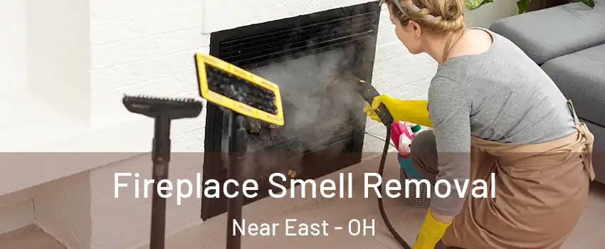 Fireplace Smell Removal Near East - OH