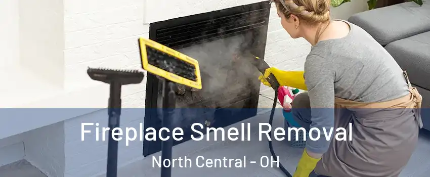 Fireplace Smell Removal North Central - OH
