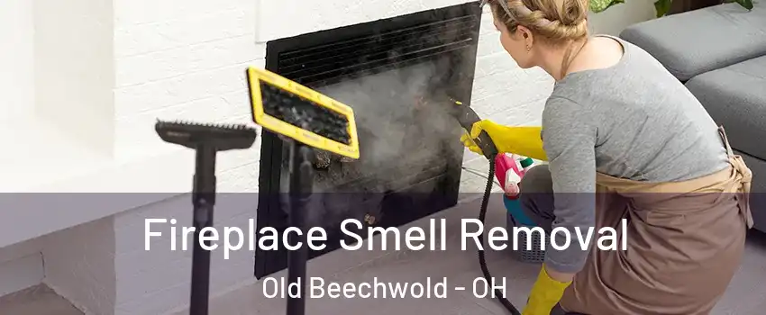Fireplace Smell Removal Old Beechwold - OH