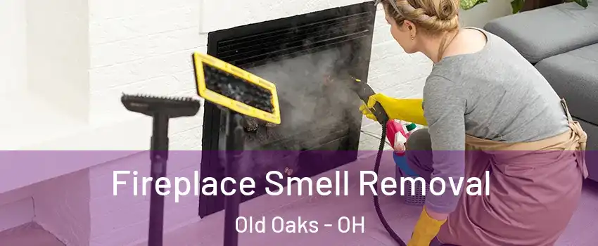 Fireplace Smell Removal Old Oaks - OH