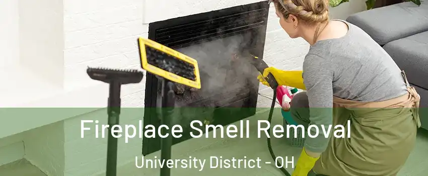 Fireplace Smell Removal University District - OH