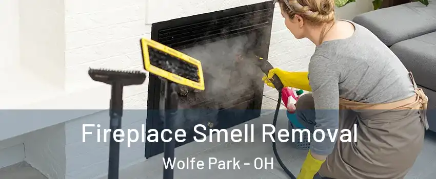 Fireplace Smell Removal Wolfe Park - OH