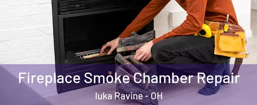 Fireplace Smoke Chamber Repair Iuka Ravine - OH