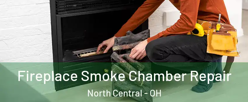 Fireplace Smoke Chamber Repair North Central - OH