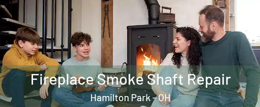 Fireplace Smoke Shaft Repair Hamilton Park - OH