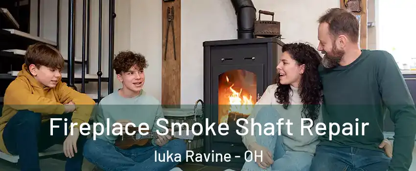 Fireplace Smoke Shaft Repair Iuka Ravine - OH
