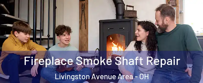 Fireplace Smoke Shaft Repair Livingston Avenue Area - OH