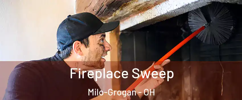 Fireplace Sweep Milo-Grogan - OH