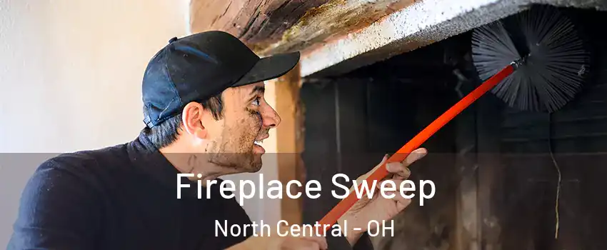 Fireplace Sweep North Central - OH