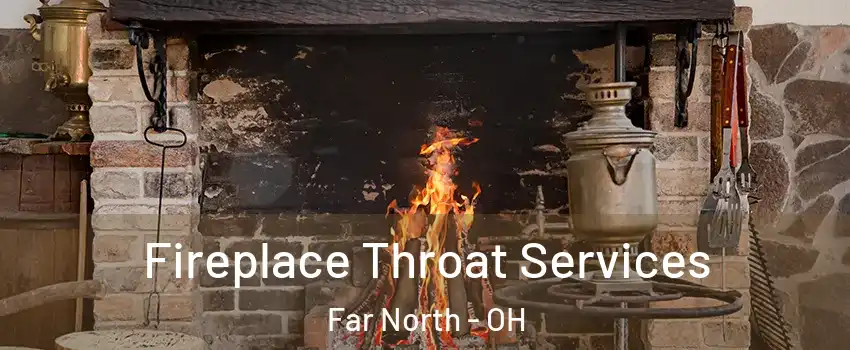 Fireplace Throat Services Far North - OH
