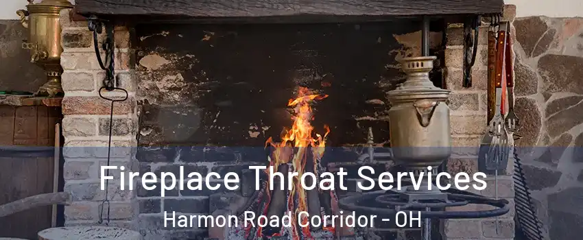 Fireplace Throat Services Harmon Road Corridor - OH