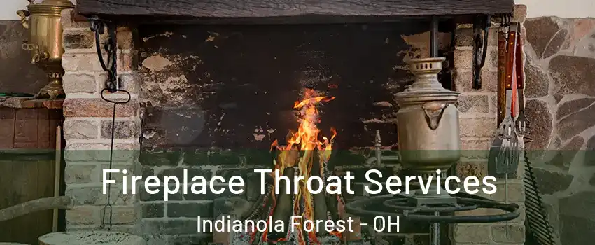 Fireplace Throat Services Indianola Forest - OH