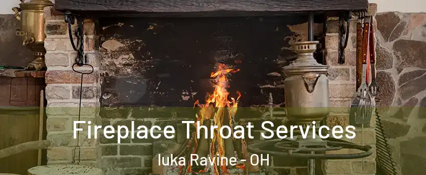 Fireplace Throat Services Iuka Ravine - OH