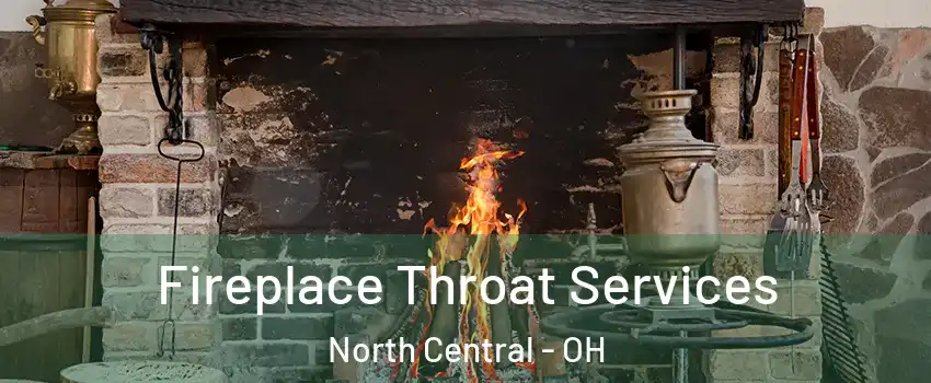 Fireplace Throat Services North Central - OH
