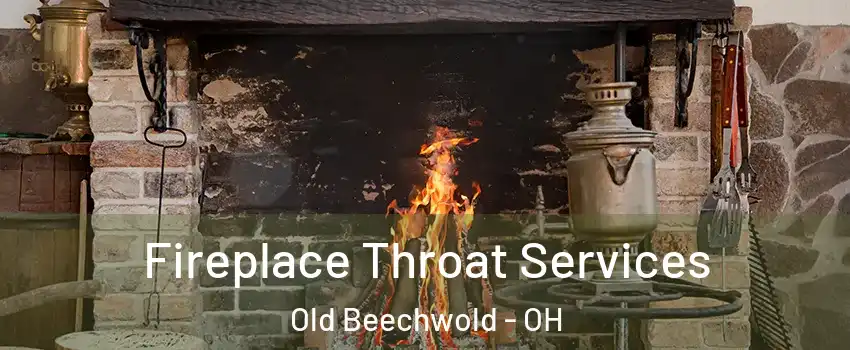 Fireplace Throat Services Old Beechwold - OH