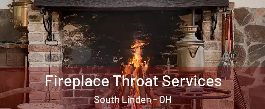 Fireplace Throat Services South Linden - OH