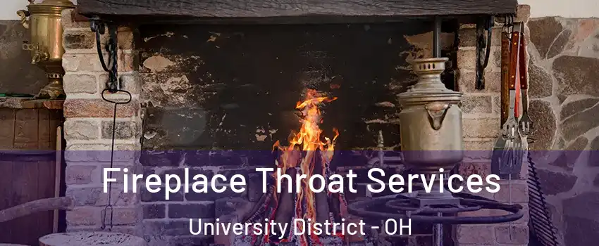 Fireplace Throat Services University District - OH
