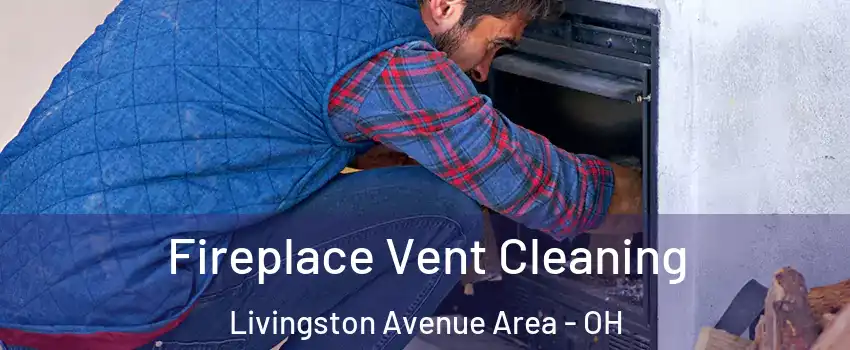 Fireplace Vent Cleaning Livingston Avenue Area - OH