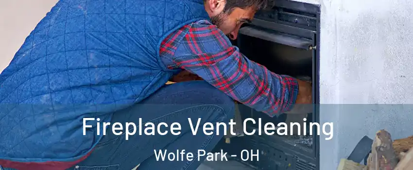 Fireplace Vent Cleaning Wolfe Park - OH