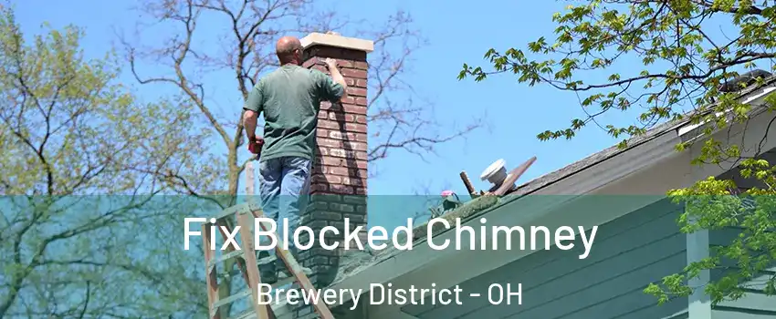 Fix Blocked Chimney Brewery District - OH