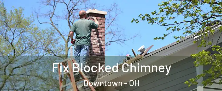 Fix Blocked Chimney Downtown - OH