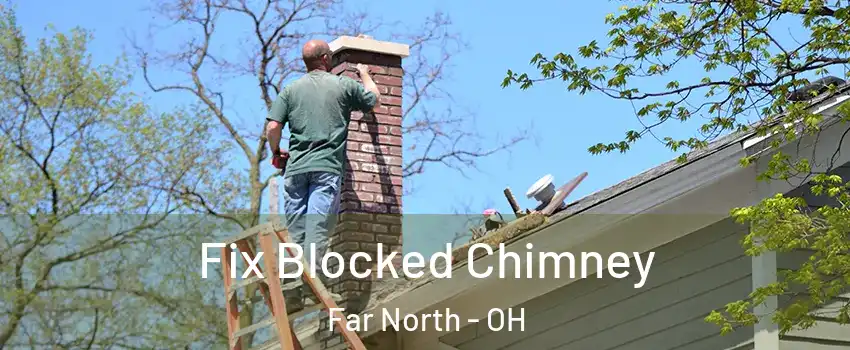 Fix Blocked Chimney Far North - OH