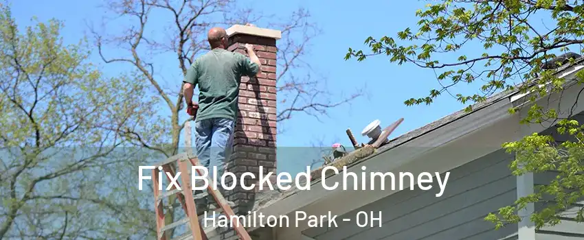 Fix Blocked Chimney Hamilton Park - OH
