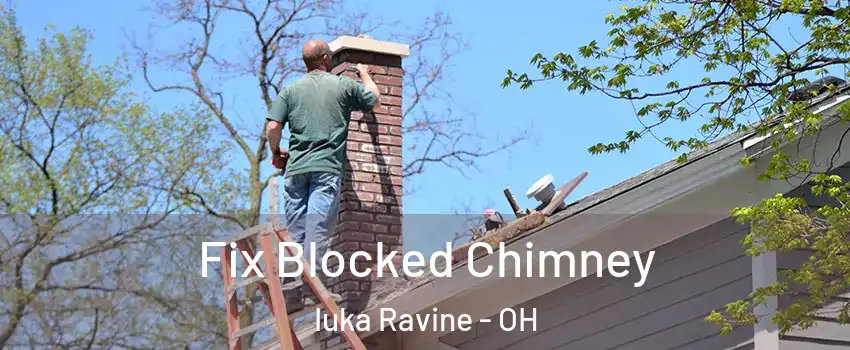 Fix Blocked Chimney Iuka Ravine - OH