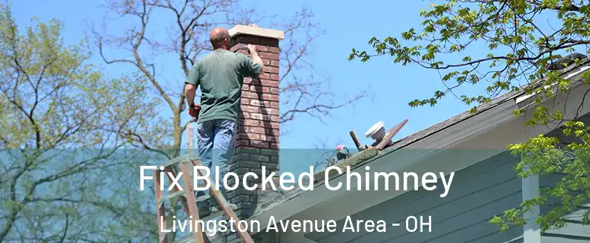 Fix Blocked Chimney Livingston Avenue Area - OH