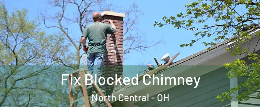Fix Blocked Chimney North Central - OH