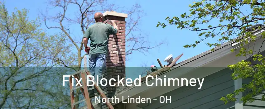 Fix Blocked Chimney North Linden - OH