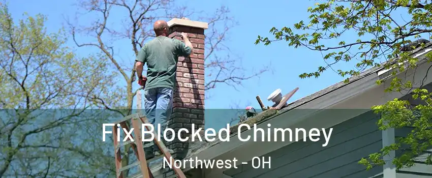 Fix Blocked Chimney Northwest - OH