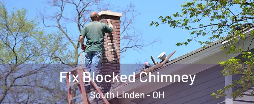 Fix Blocked Chimney South Linden - OH