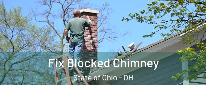 Fix Blocked Chimney State of Ohio - OH
