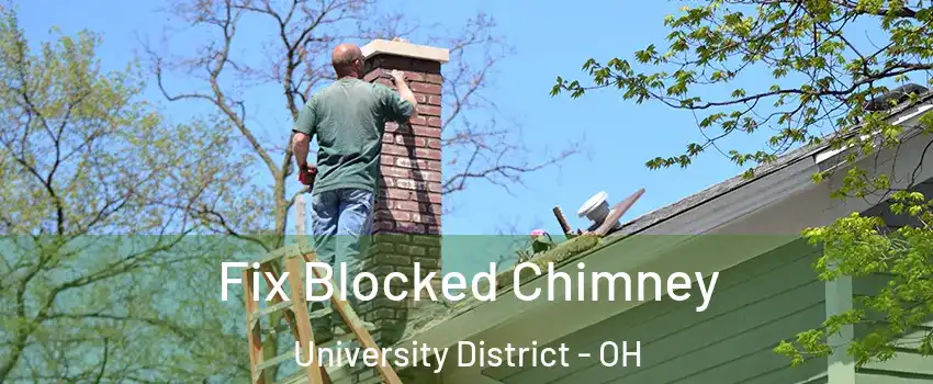 Fix Blocked Chimney University District - OH