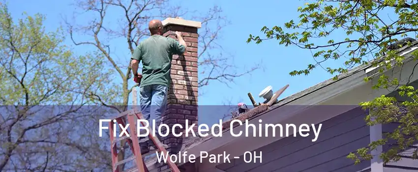 Fix Blocked Chimney Wolfe Park - OH
