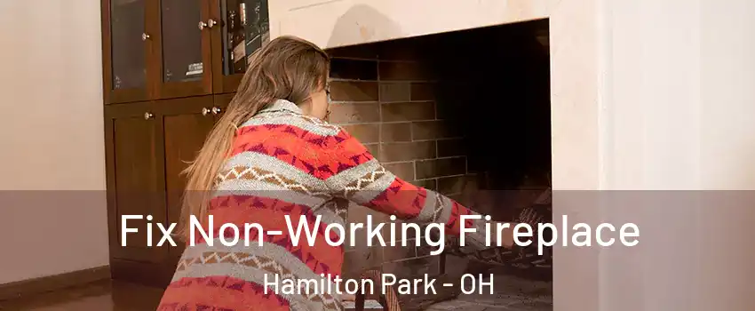Fix Non-Working Fireplace Hamilton Park - OH