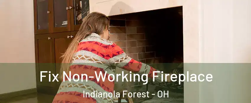 Fix Non-Working Fireplace Indianola Forest - OH