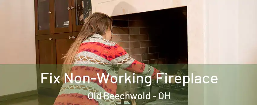 Fix Non-Working Fireplace Old Beechwold - OH