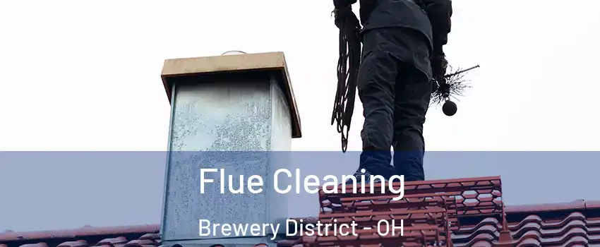 Flue Cleaning Brewery District - OH