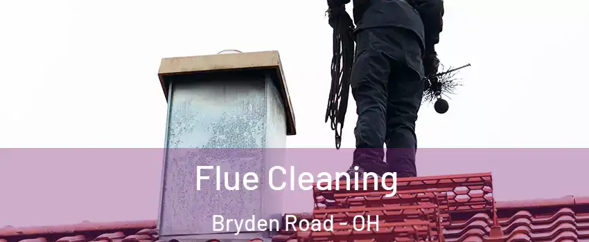 Flue Cleaning Bryden Road - OH