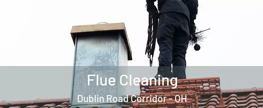 Flue Cleaning Dublin Road Corridor - OH